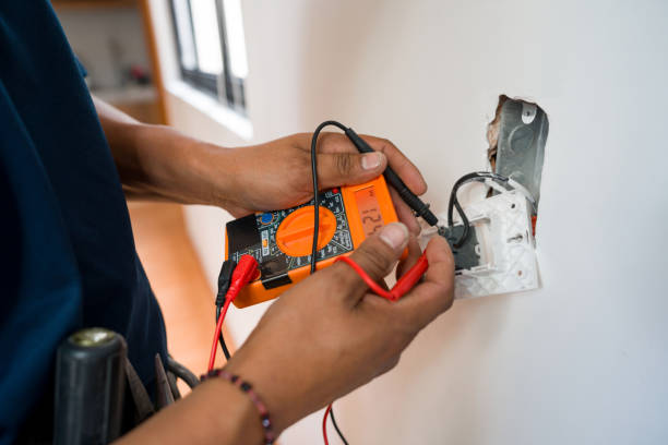 Best Electric Panel Repair  in Alamo Heights, TX